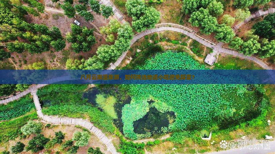 八月云南温泉游，如何挑选地道小吃避免踩雷？