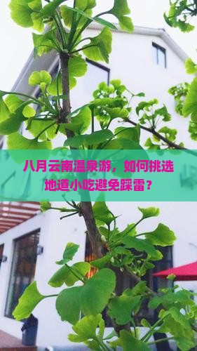 八月云南温泉游，如何挑选地道小吃避免踩雷？