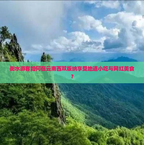 衡水游客如何在云南西双版纳享受地道小吃与网红美食？