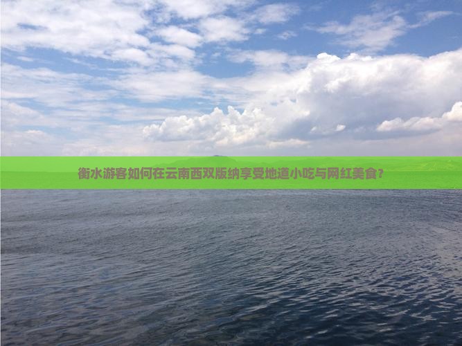 衡水游客如何在云南西双版纳享受地道小吃与网红美食？