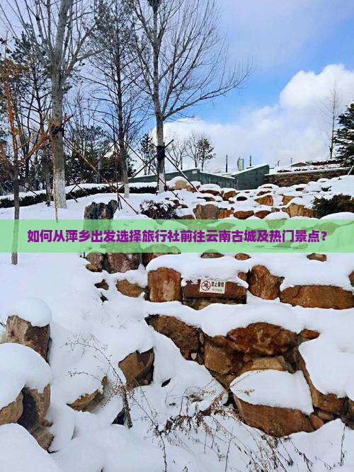 如何从萍乡出发选择旅行社前往云南古城及热门景点？
