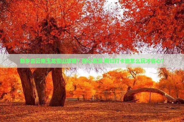 新乡去云南玉龙雪山攻略？担心高反+网红打卡地怎么玩才省心？