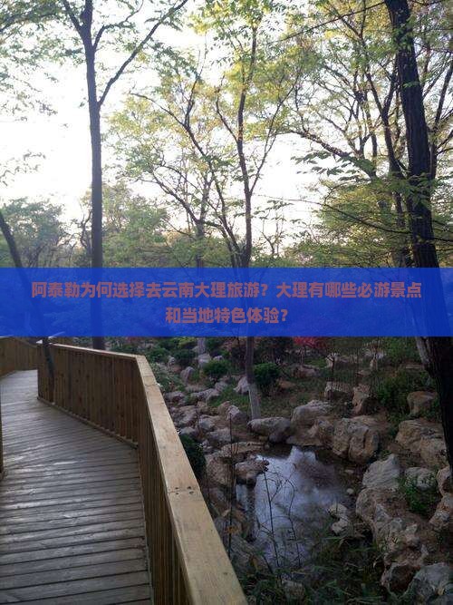 阿泰勒为何选择去云南大理旅游？大理有哪些必游景点和当地特色体验？