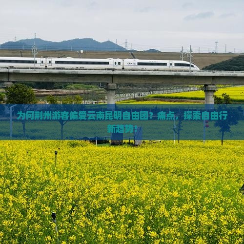 为何荆州游客偏爱云南昆明自由团？痛点，探索自由行新趋势！