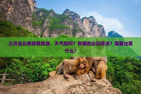 三月去云南昆明旅游，天气如何？有哪些必玩景点？需要注意什么？