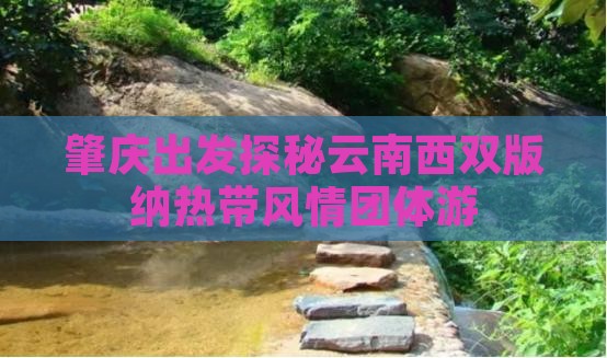 肇庆出发探秘云南西双版纳热带风情团体游