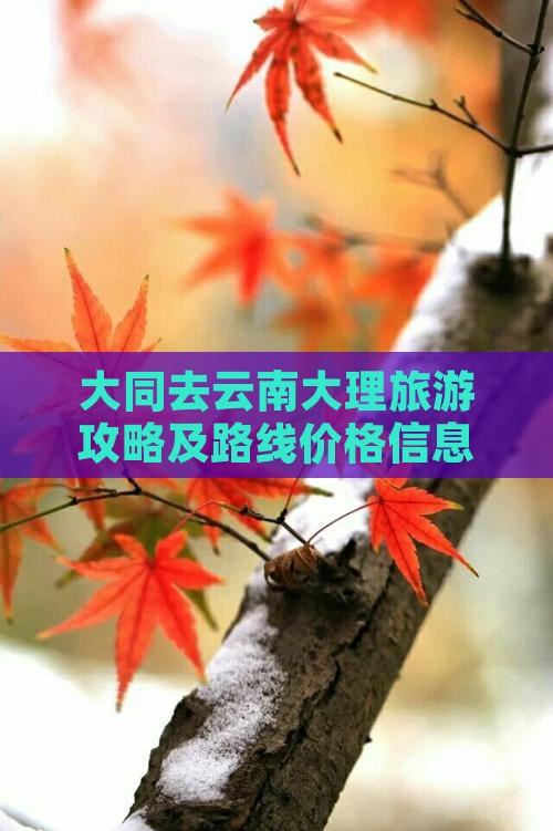 大同去云南大理旅游攻略及路线价格信息