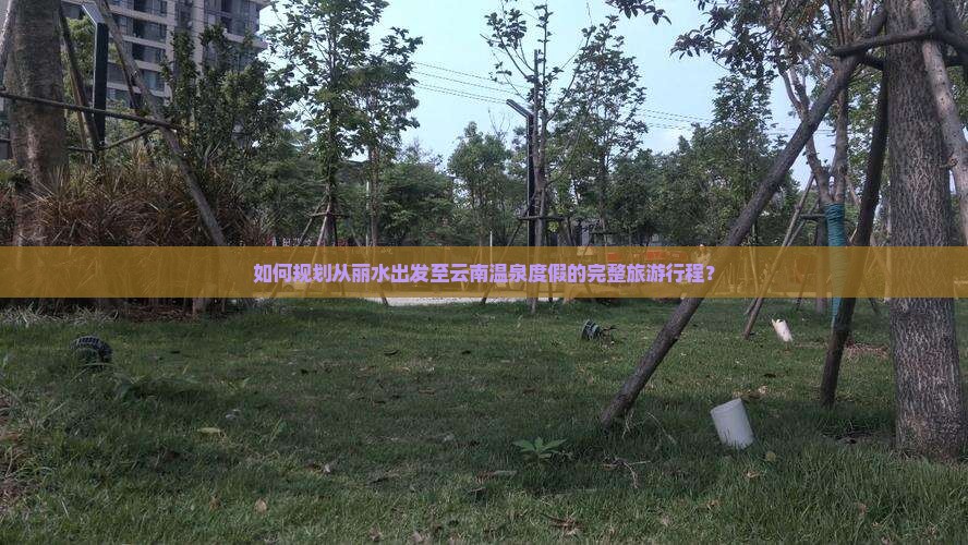 如何规划从丽水出发至云南温泉度假的完整旅游行程？