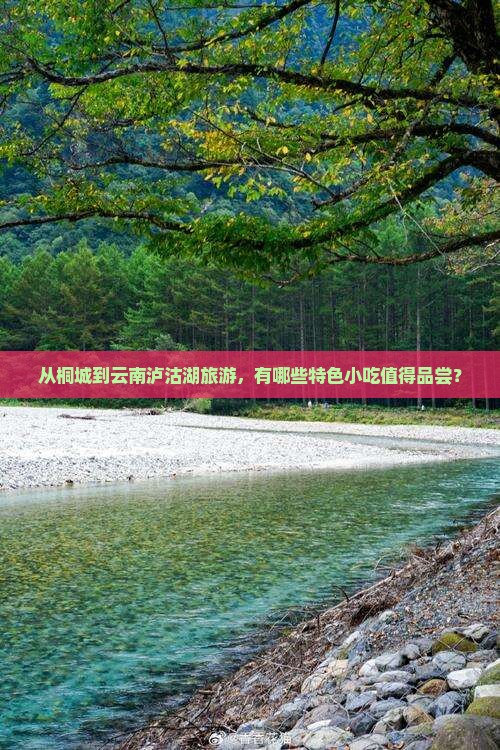 从桐城到云南泸沽湖旅游，有哪些特色小吃值得品尝？