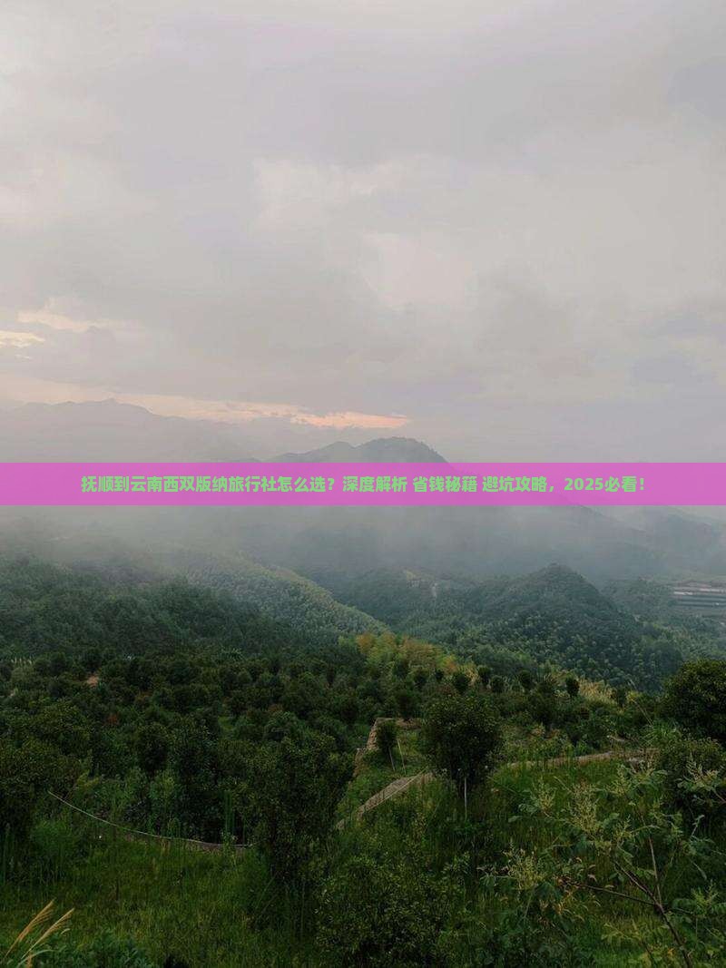 抚顺到云南西双版纳旅行社