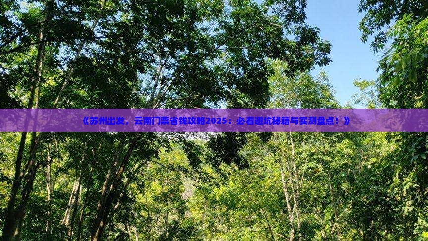 苏州到云南门票