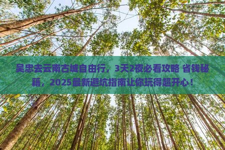 吴忠去云南古城自由行