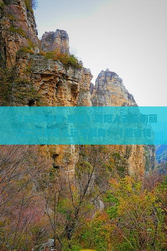 资阳去云南丽江二日游