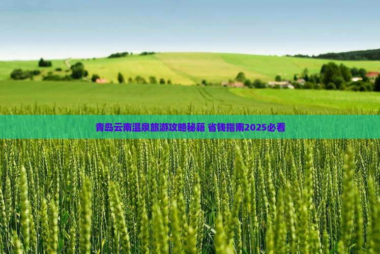 青岛去云南温泉个人游