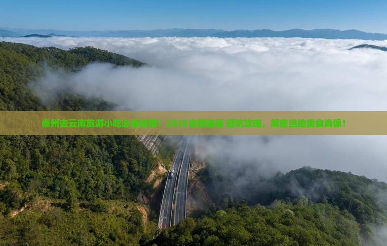 泰州去云南旅游小吃