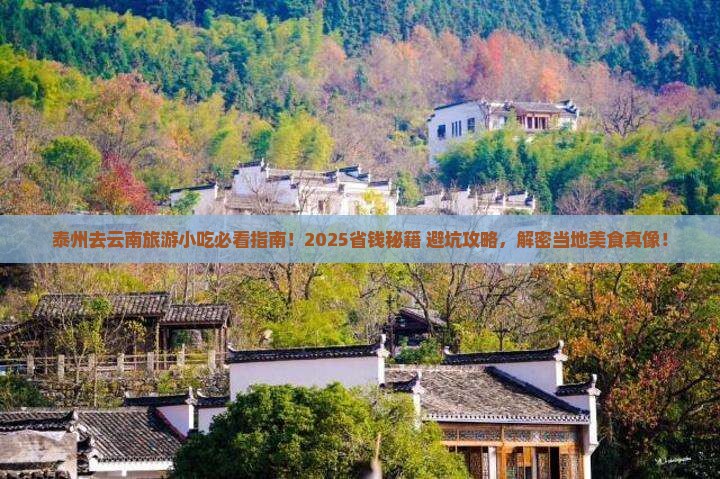 泰州去云南旅游小吃