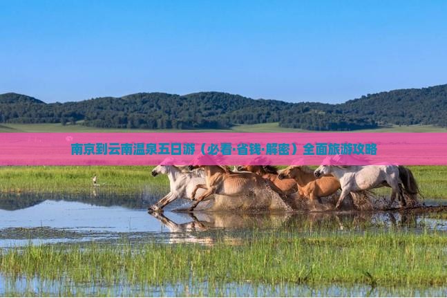 南京到云南温泉五日游
