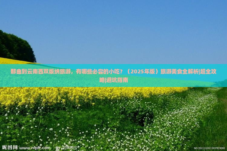 那曲到云南西双版纳旅游小吃