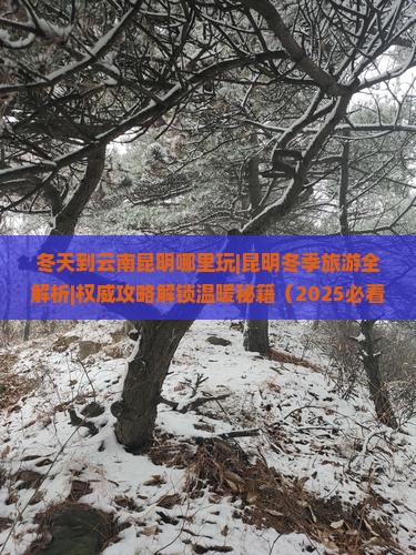 冬天到云南昆明哪里玩