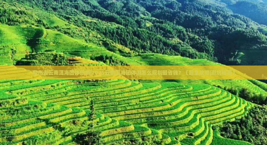泉州去云南洱海团体旅游