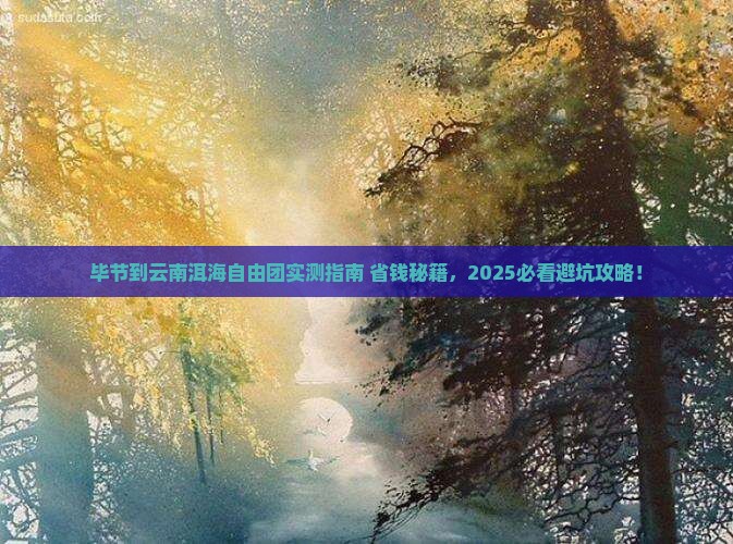 毕节到云南洱海自由团