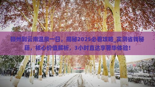 赣州到云南温泉一日