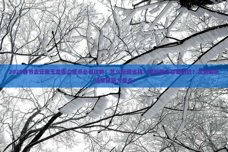 春节去云南玉龙雪山景点
