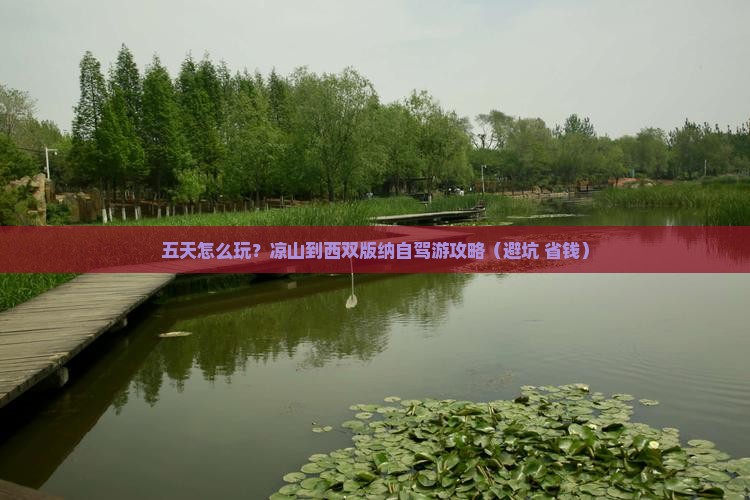 凉山到云南西双版纳五日游