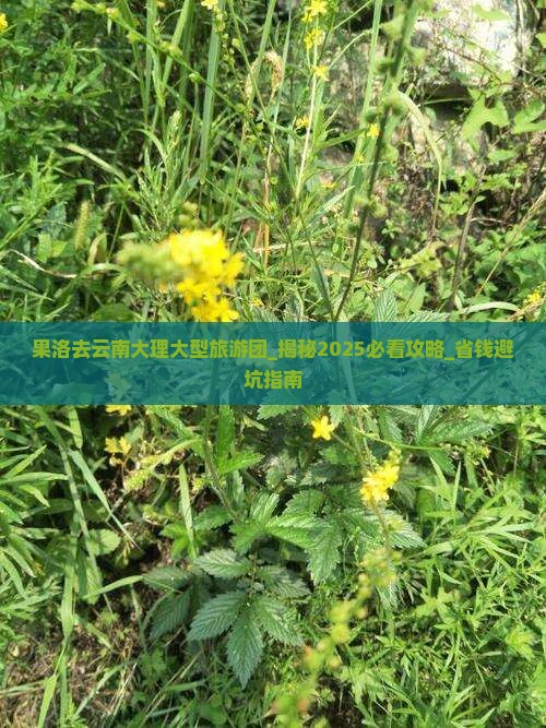 果洛去云南大理大型旅游团