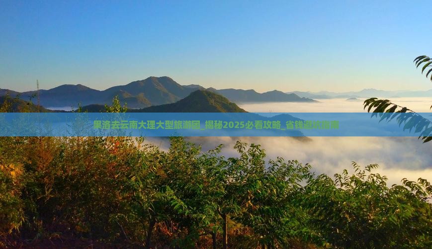 果洛去云南大理大型旅游团