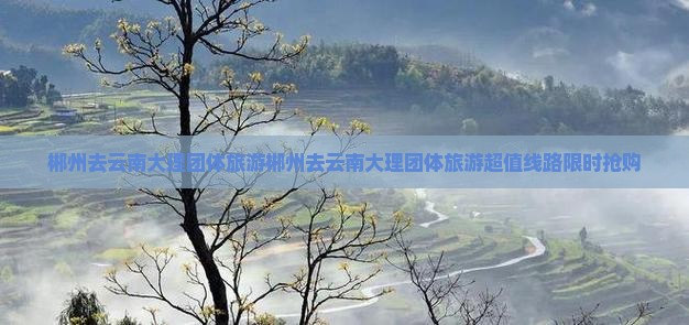 郴州去云南大理团体旅游