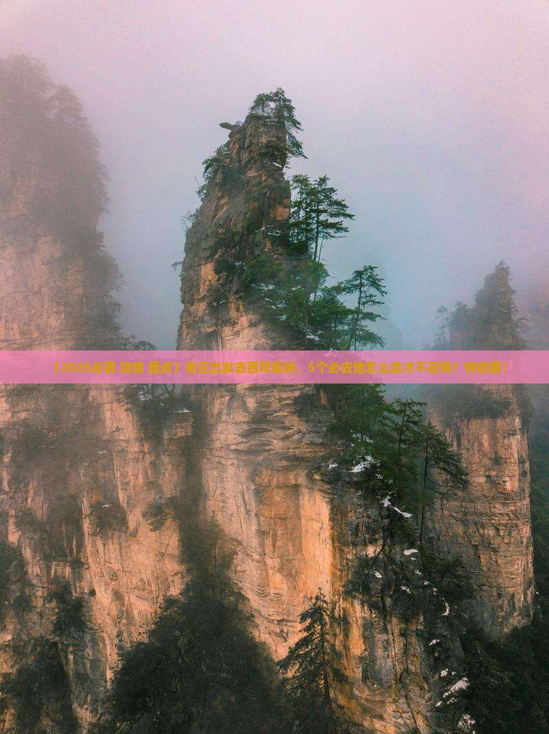枣庄到云南西双版纳必去地