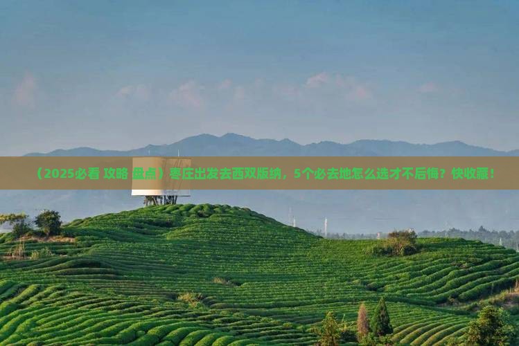 枣庄到云南西双版纳必去地