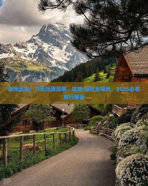 泰州到云南昆明六日游