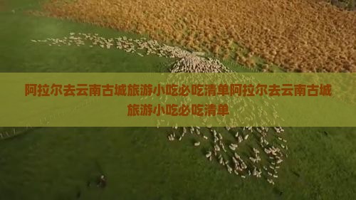 阿拉尔去云南古城旅游小吃