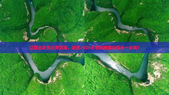 辽阳到云南洱海团体旅游