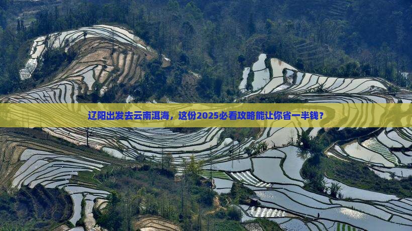 辽阳到云南洱海团体旅游