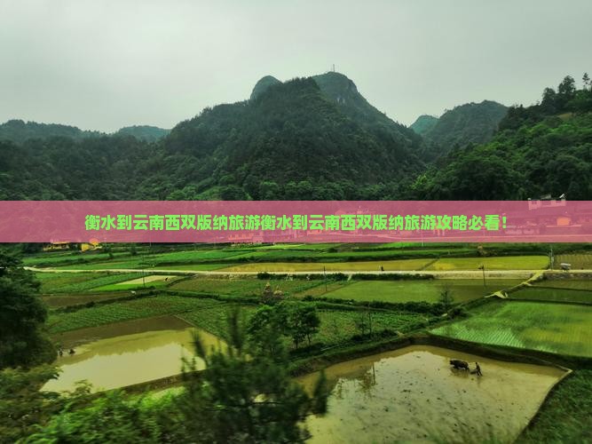 衡水到云南西双版纳旅游