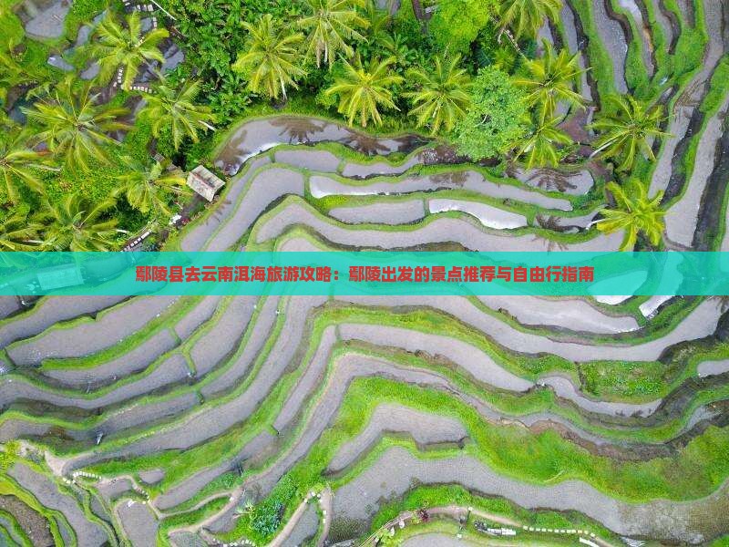 鄢陵县去云南洱海自由行