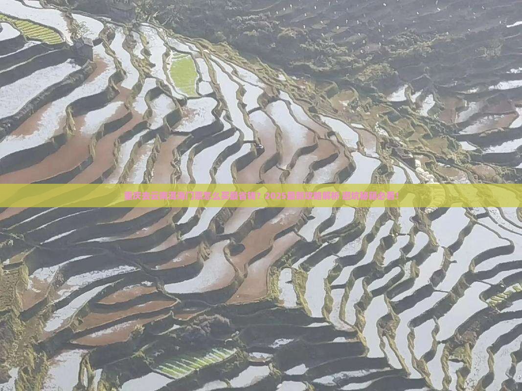 重庆去云南洱海门票