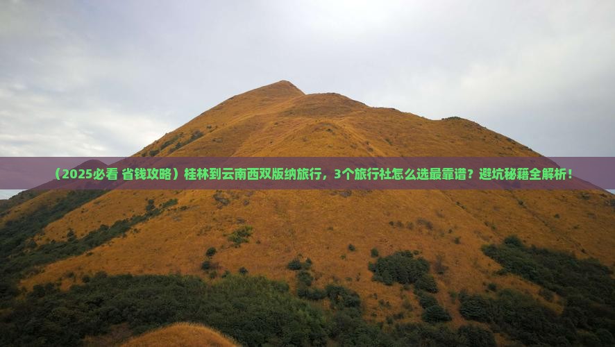 桂林到云南西双版纳旅行社