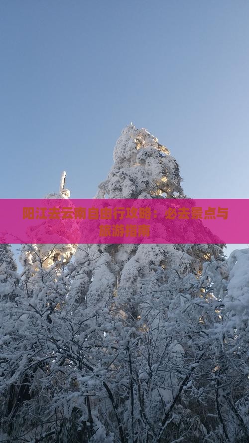 阳江去云南自由行