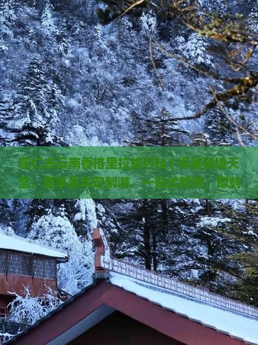铜仁去云南香格里拉旅行社