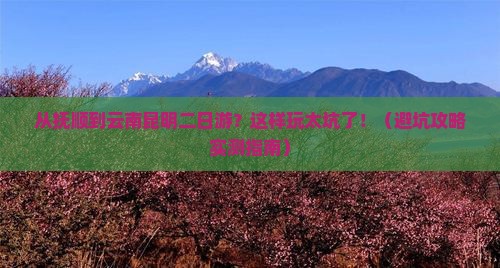 抚顺到云南昆明二日游