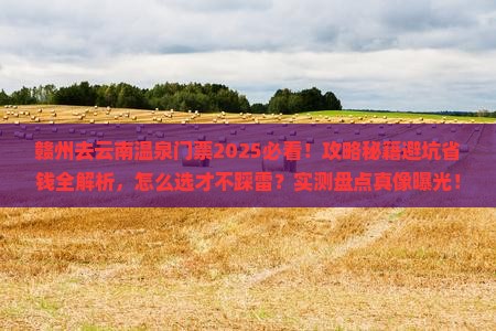 赣州去云南温泉门票