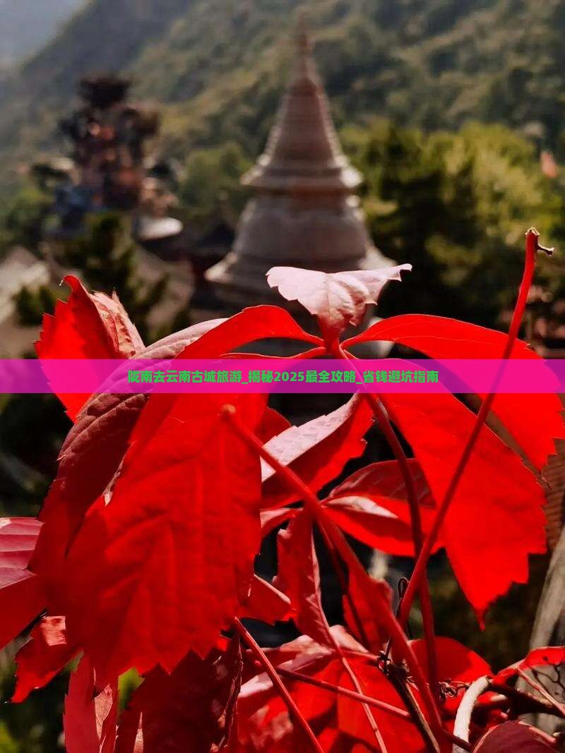 陇南去云南古城旅游