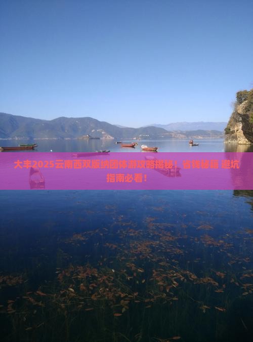 大丰去云南西双版纳团体旅游