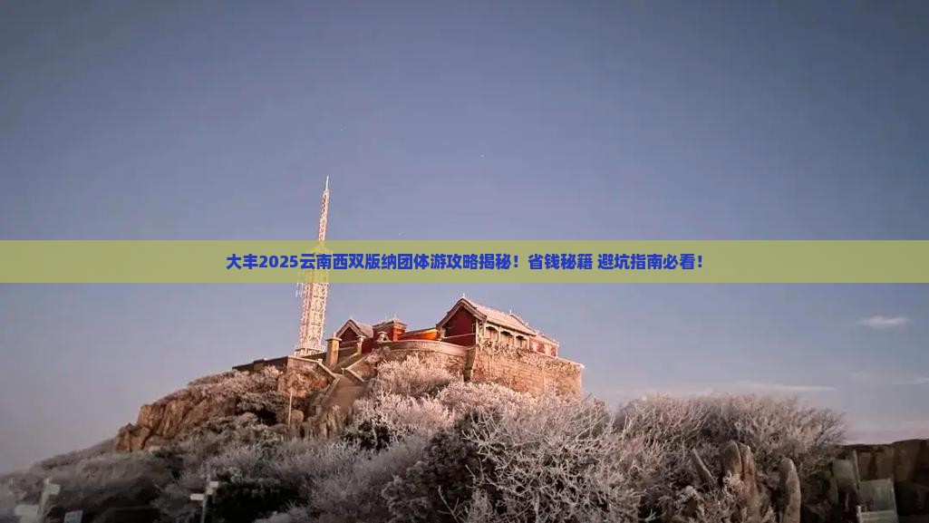 大丰去云南西双版纳团体旅游
