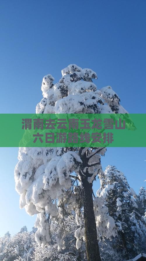 渭南去云南玉龙雪山六日游