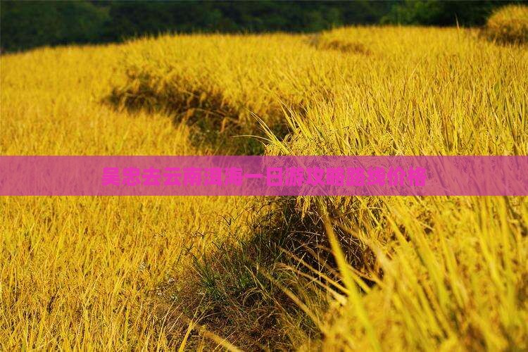 吴忠去云南洱海一日